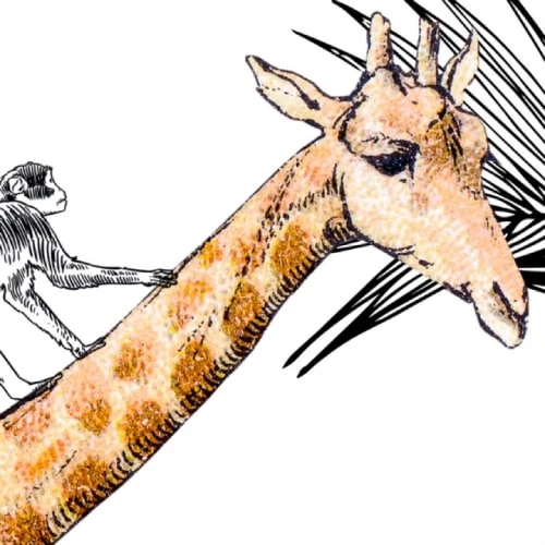 99Déco Stickers Et Papiers-peint Enfant Papier Peint Panoramique Intissé 336x270cm – Image 2