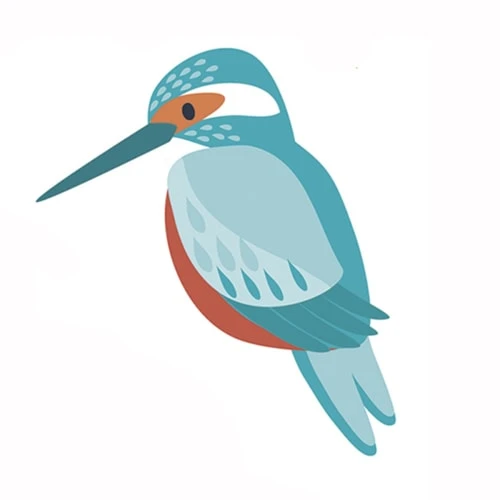 Lilipinso Stickers Et Papiers-peint Enfant Stickers Muraux Perroquets En Vinyle Multicolore 29.7x42 Cm – Image 2